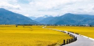 Home chishang taitung trip